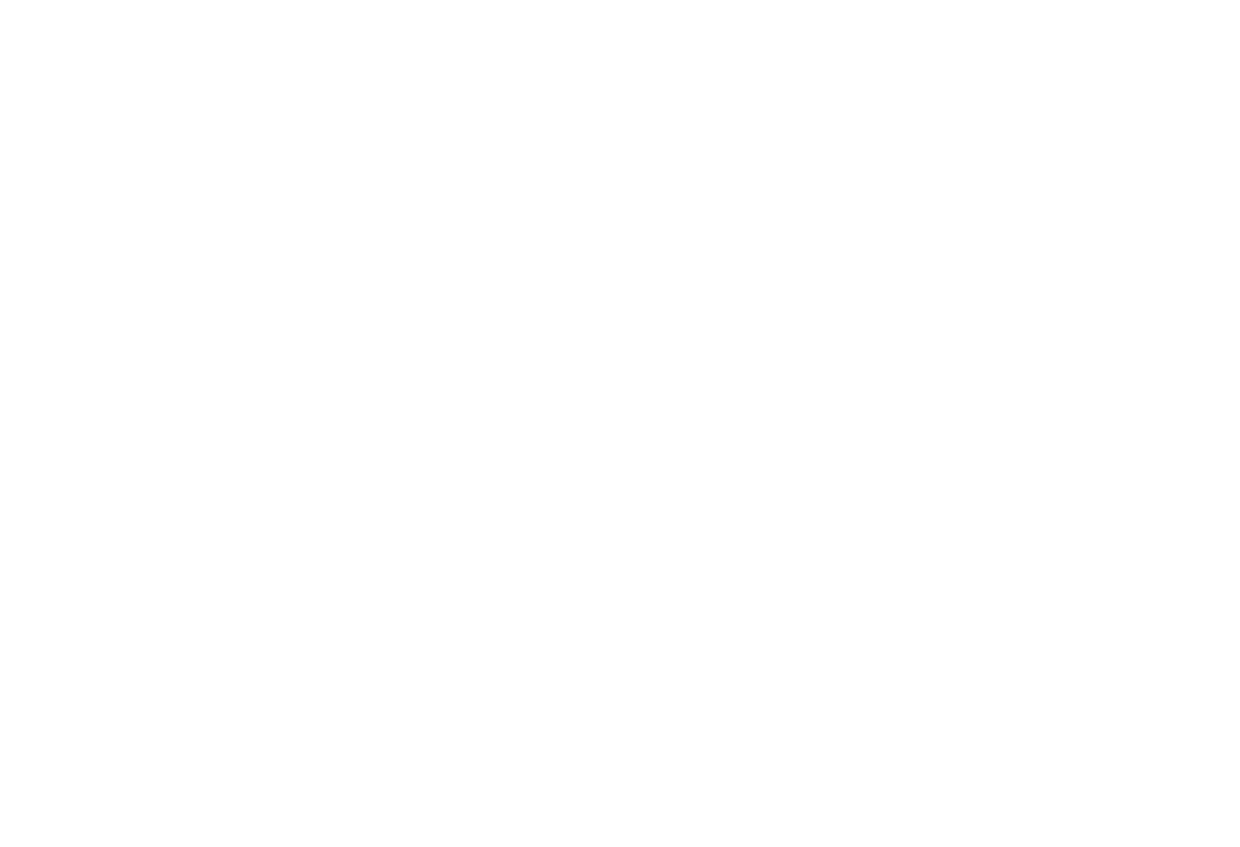 Project Oversight